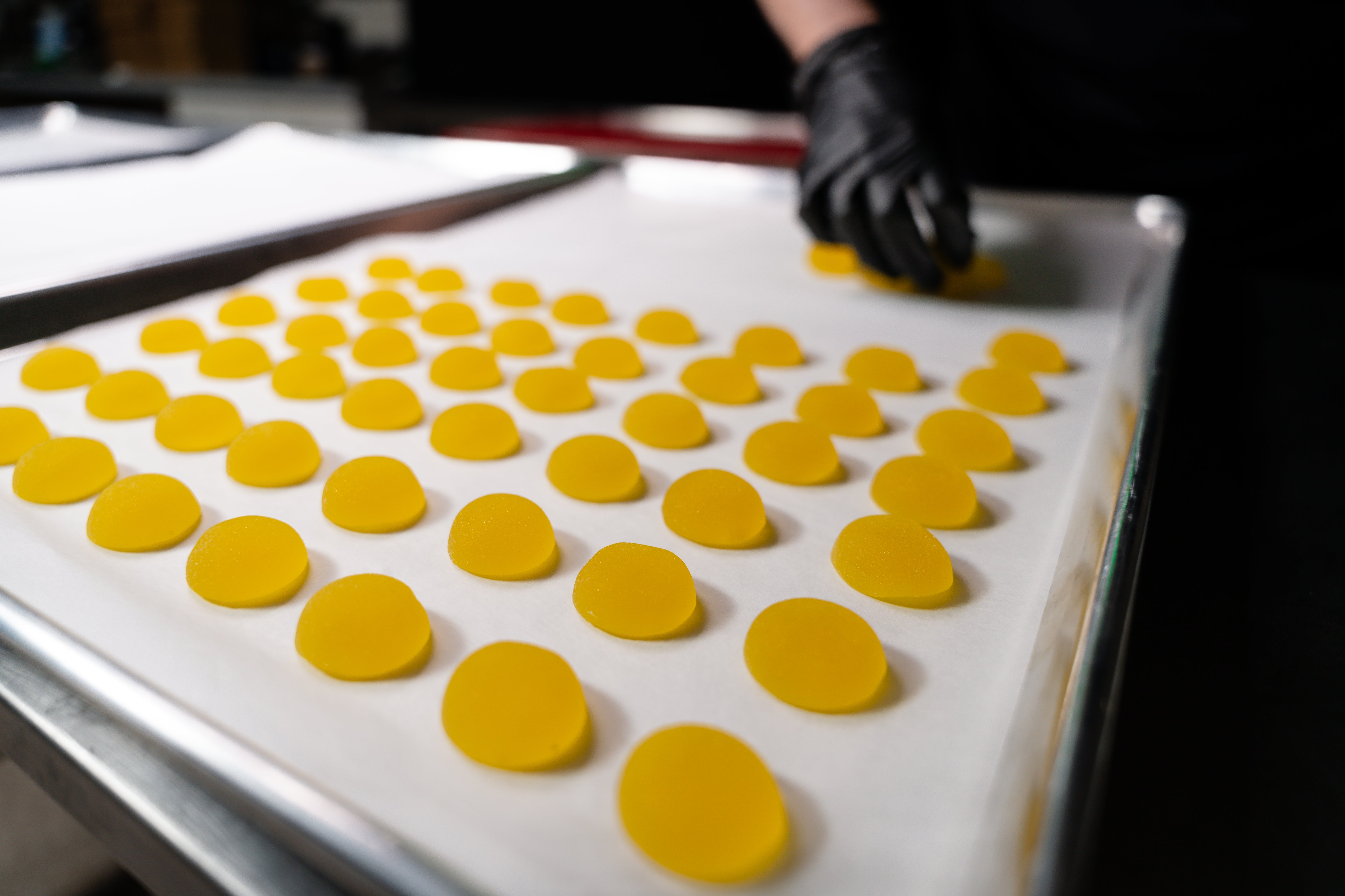 Delta 9 THC Terpenes Gummies - Gold Edition - 25MG - Lemon Gelato