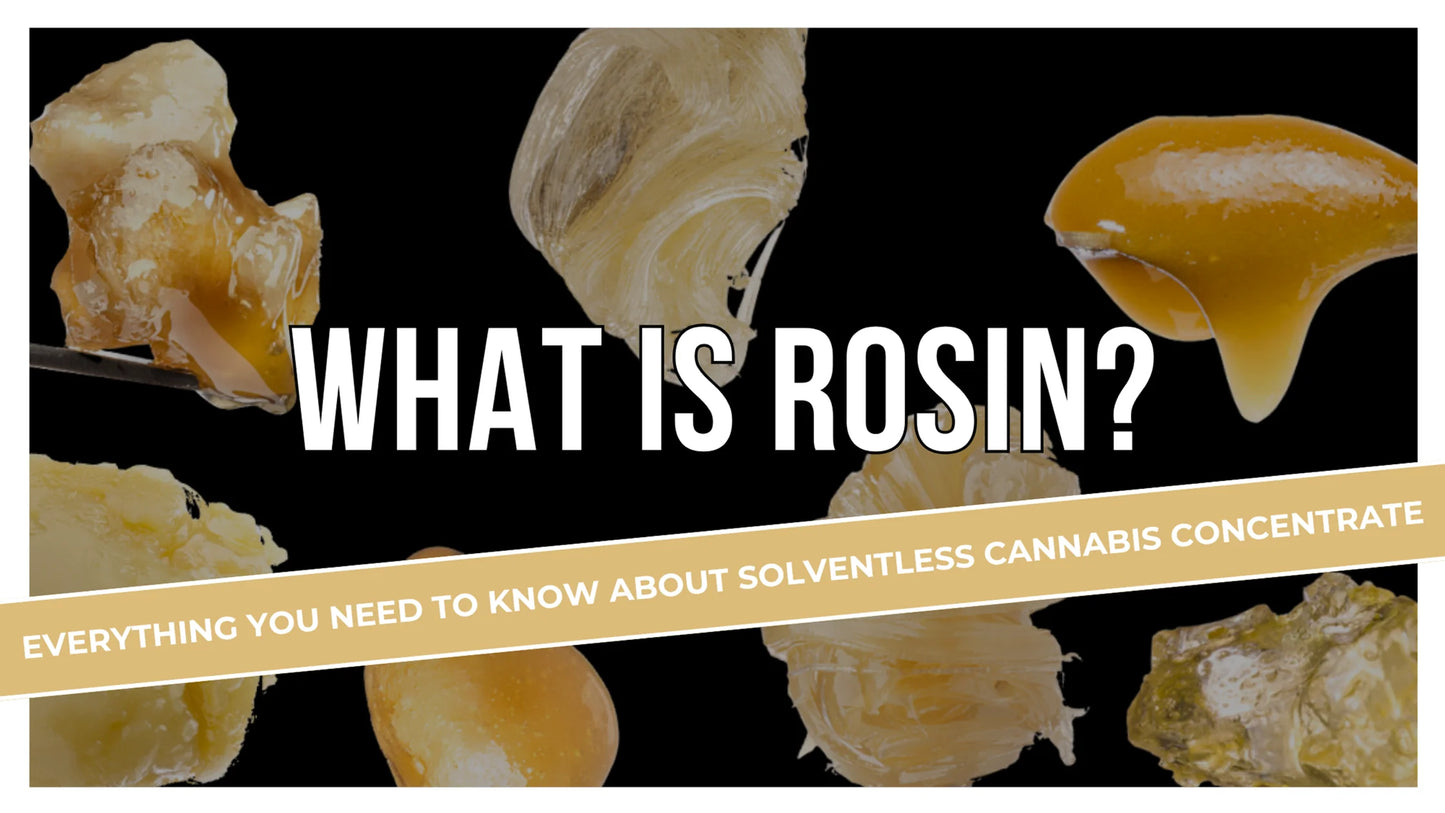 What is Rosin? Everything You Need to Know About This Solventless Cannabis Concentrate