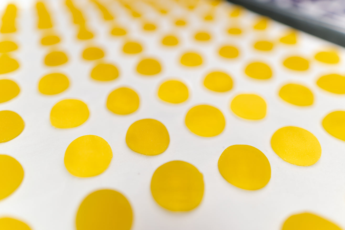 Delta 9 THC Terpenes Gummies - Gold Edition -  25MG - Lemon Gelato image 1